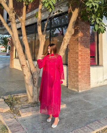 Chiffon Embroidered Dress - Majesty Wine