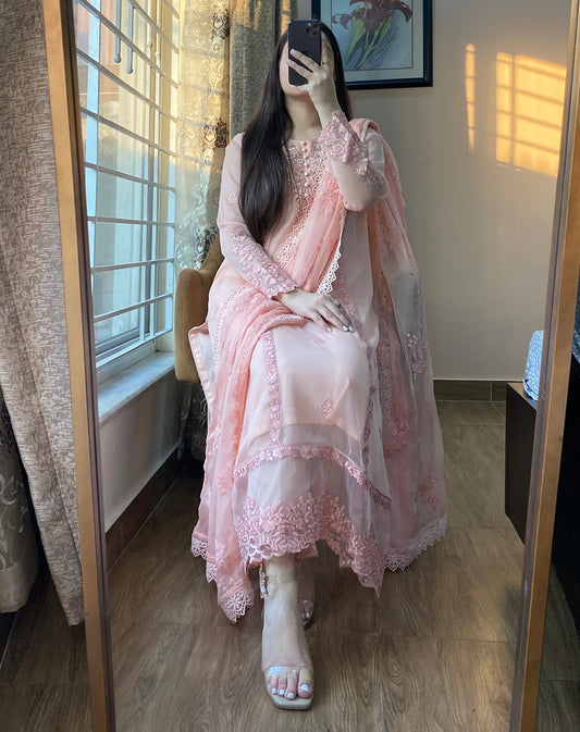 Chiffon Embroidered Whisper Pink Suit